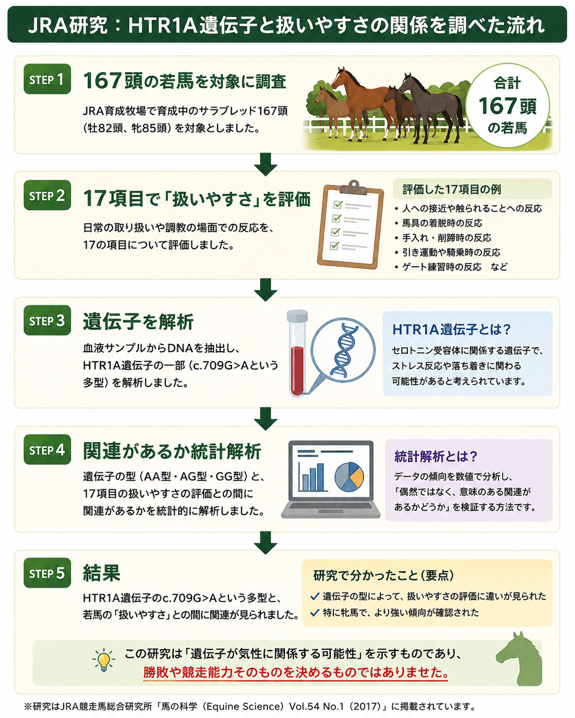 HTR1A遺伝子研究の流れ